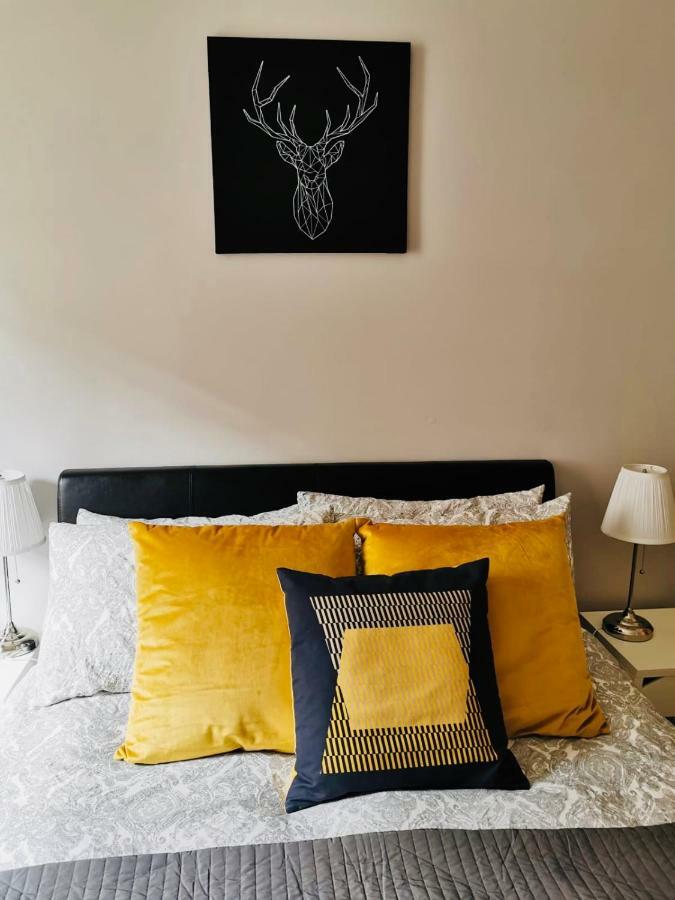 City Centre Georgian Style Apartment Δουβλίνο Εξωτερικό φωτογραφία